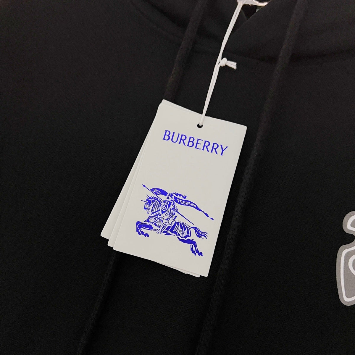 Classic Fit Hoodie-1048