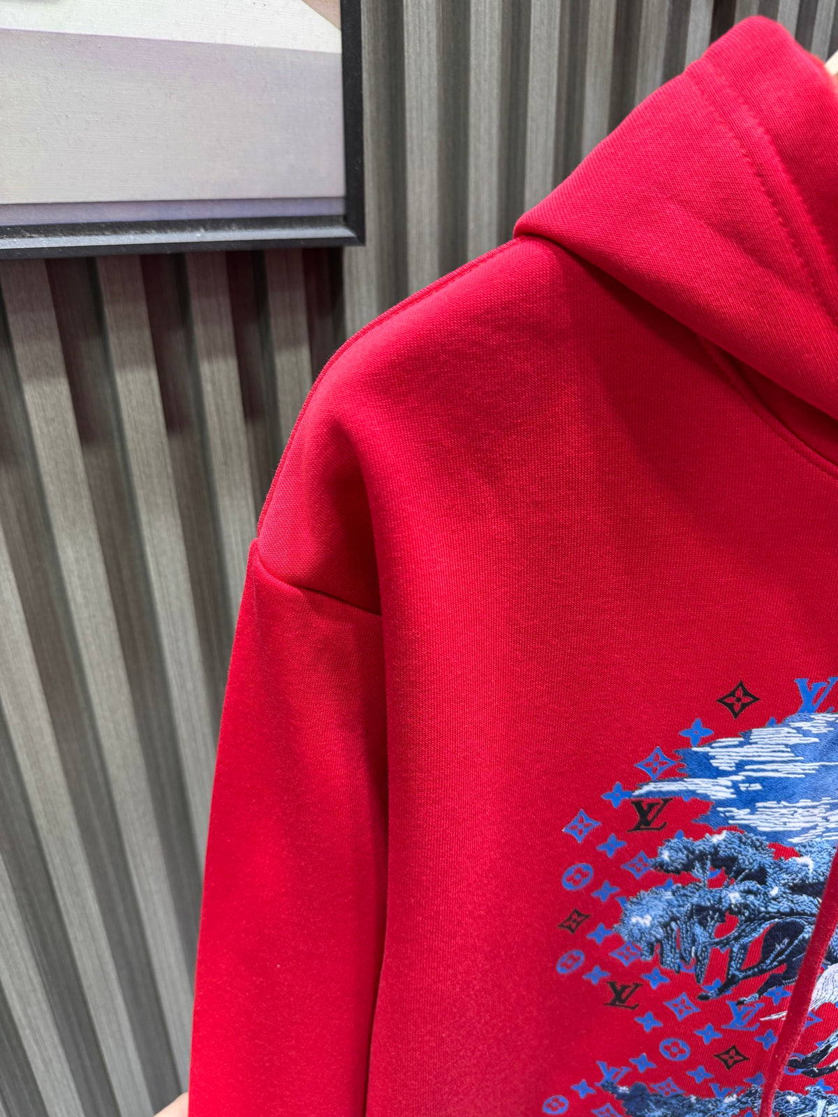 Classic Fit Hoodie-1013