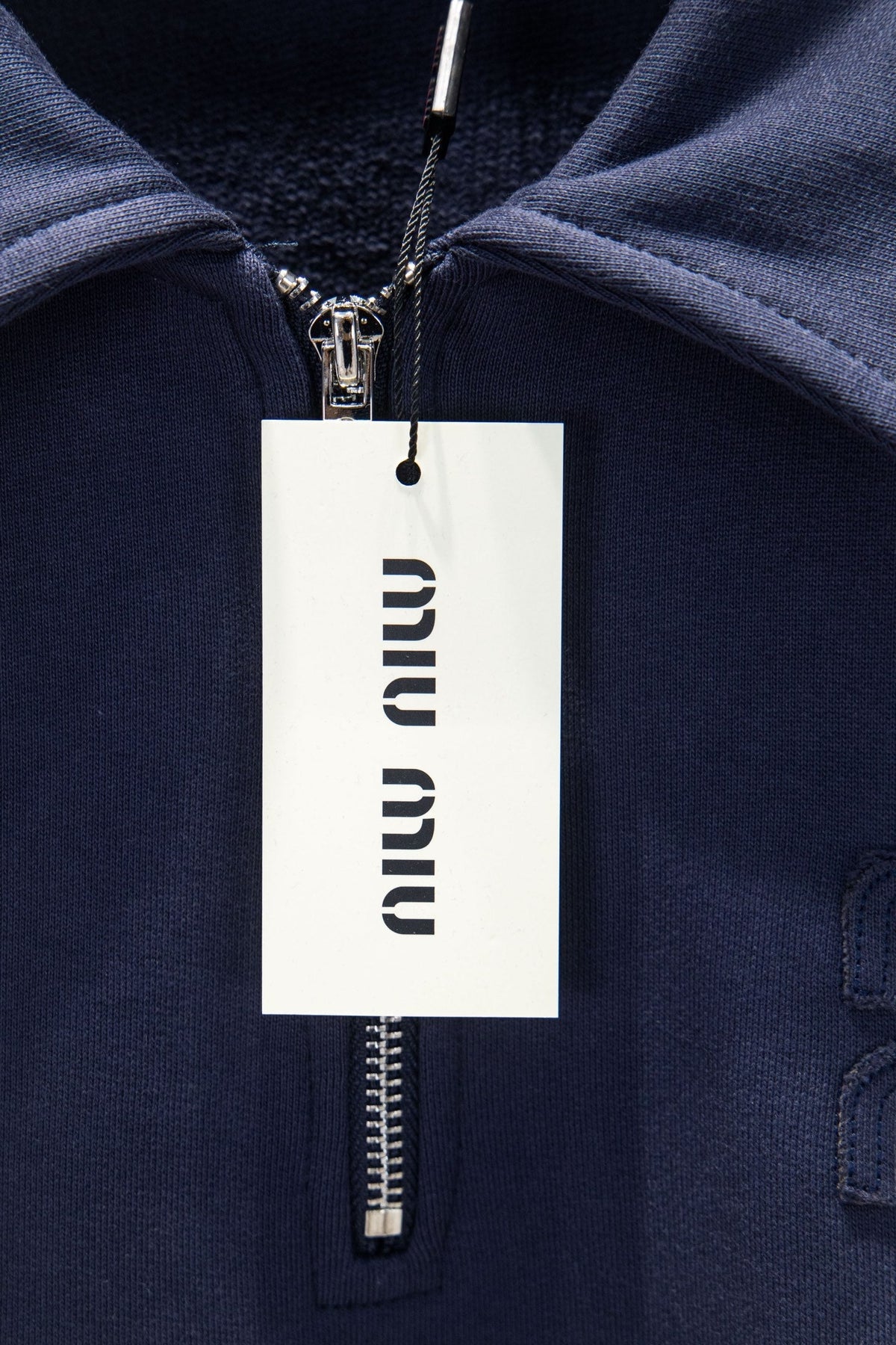 Classic Fit Hoodie-1011