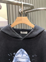 Classic Fit Hoodie-1024