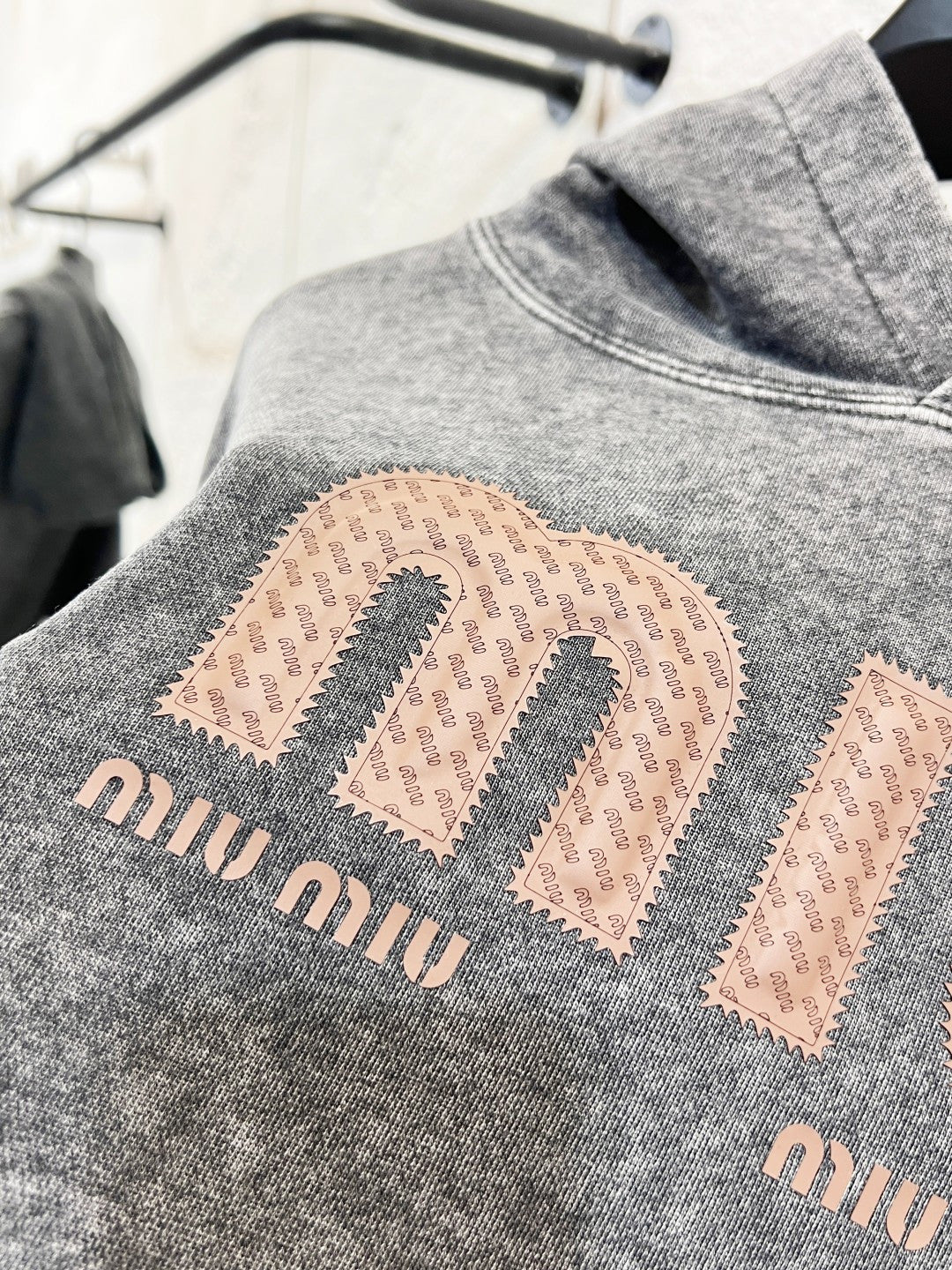 Classic Fit Hoodie-1033